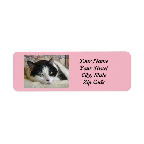 Cat Photo  Label