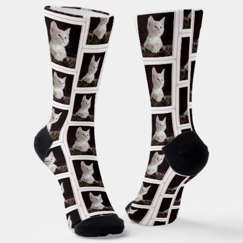 Cat Photo Lover Fun Socks