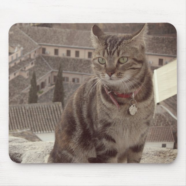 Cat Photo Mousepad (Front)