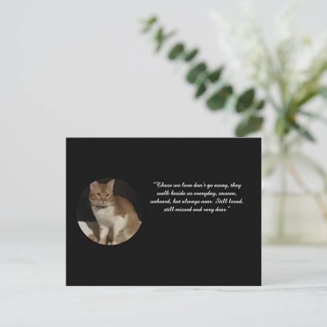 Cat Photo Name Text Sympathy Card  (Standing Front)