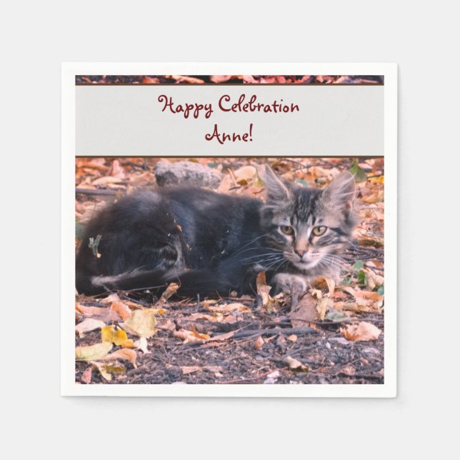 Cat Photo Napkins (Front)