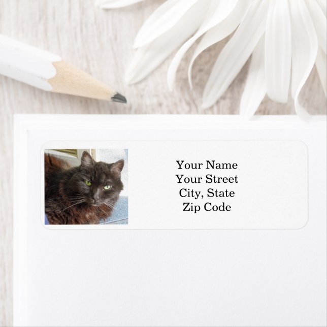 Cat Photo Personalized  Label (Insitu)