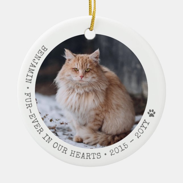 Cat Photo Pet Passing Memorial Personalized Ceramic Ornament (Front)
