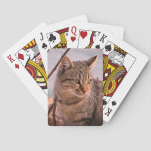 Cat photo poker cards