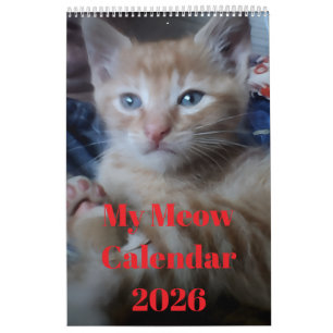 Cat Photo Quotes Customize Fun Calendar
