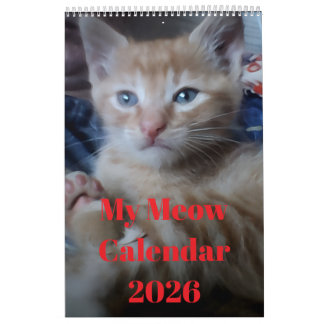 Cat Photo Quotes Customize Fun Calendar