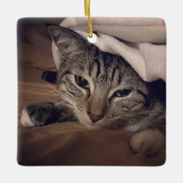 Cat Photo Square Picture Christmas Ceramic Ornament (Front)