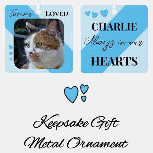 Cat Photo Sympathy Keepsake Pet Memorial blue Metal Ornament
