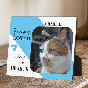 Cat Photo Sympathy Keepsake Pet Memorial blue Plaque