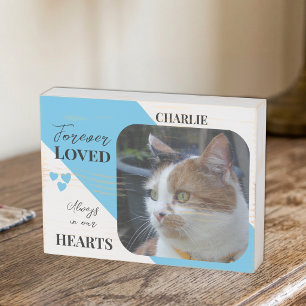 Cat Photo Sympathy Keepsake Pet Memorial blue Wooden Box Sign