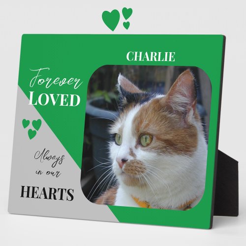 Cat Photo Sympathy Keepsake Pet Memorial green Plaque