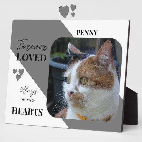 Cat Photo Sympathy Keepsake Pet Memorial grey Plaque