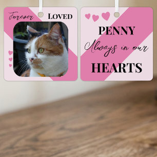 Cat Photo Sympathy Keepsake Pet Memorial pink Metal Ornament