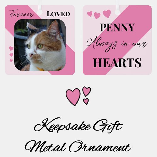 Cat Photo Sympathy Keepsake Pet Memorial pink Metal Ornament