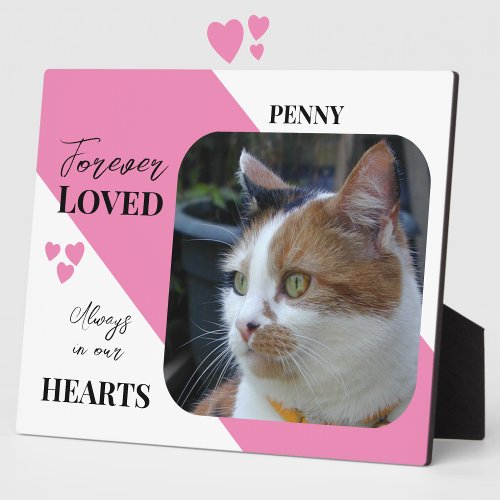 Cat Photo Sympathy Keepsake Pet Memorial pink Plaque