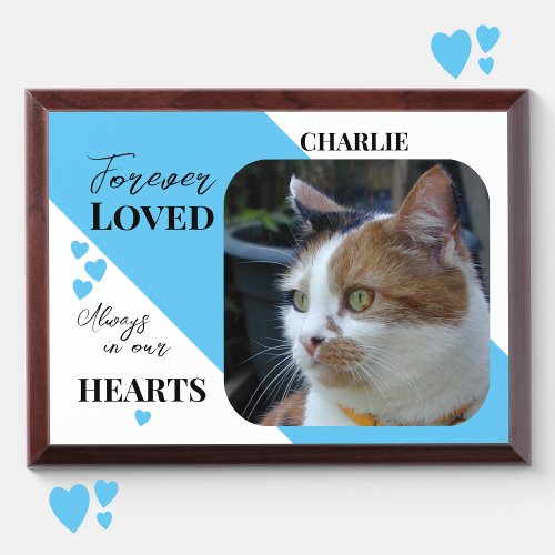 Cat Photo Sympathy Pet Memorial blue wood plaque
