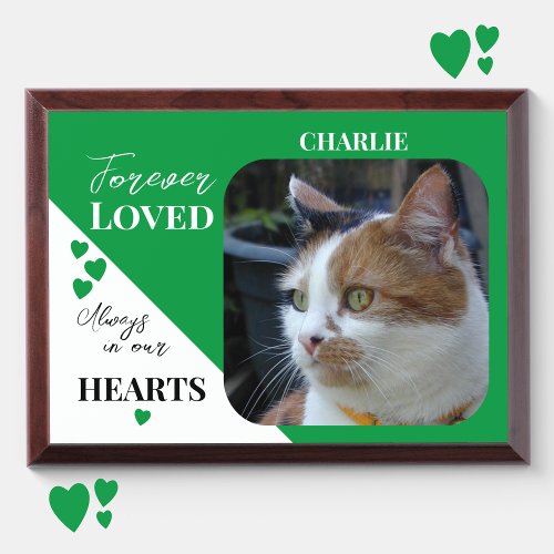 Cat Photo Sympathy Pet Memorial green wood plaque