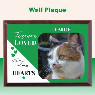 Cat Photo Sympathy Pet Memorial green wood plaque