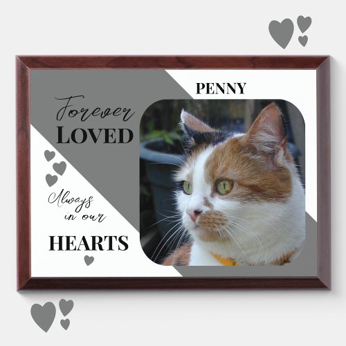 Cat Photo Sympathy Pet Memorial grey wood plaque