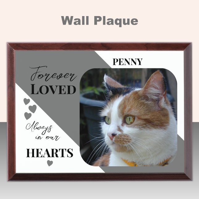 Cat Photo Sympathy Pet Memorial grey wood plaque (Creator Uploaded)