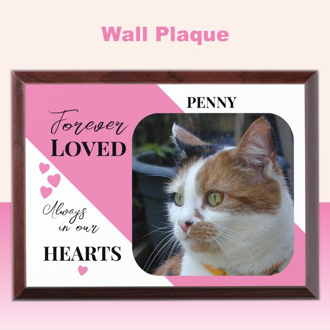 Cat Photo Sympathy Pet Memorial pink wood plaque (Creator Uploaded)