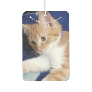 Cat Photo Text, Mom Drive Careful, Customize, Air Freshener