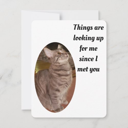 Cat Photo Things Looking Up Purrfect Valentine Holiday Card