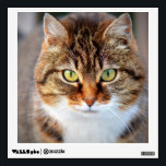 Cat Photo Wall Sticker<br><div class="desc">Cute cat photo. Great gifts for cat lovers.</div>