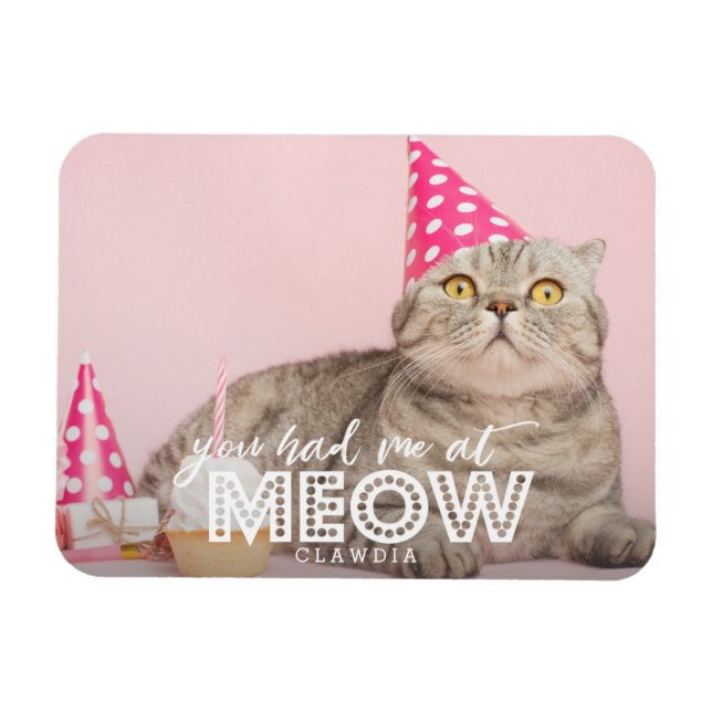 Cat Photo | You Had Me At Meow Magnet (Horizontal)