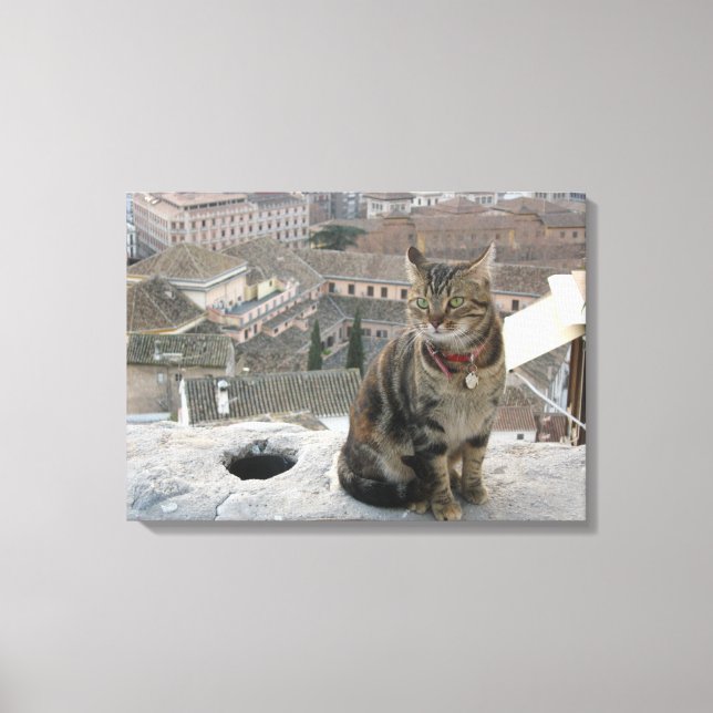 Cat photography Single Canvas Print (Front)