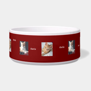 Cat Photos, Name, Customizable, Bowl