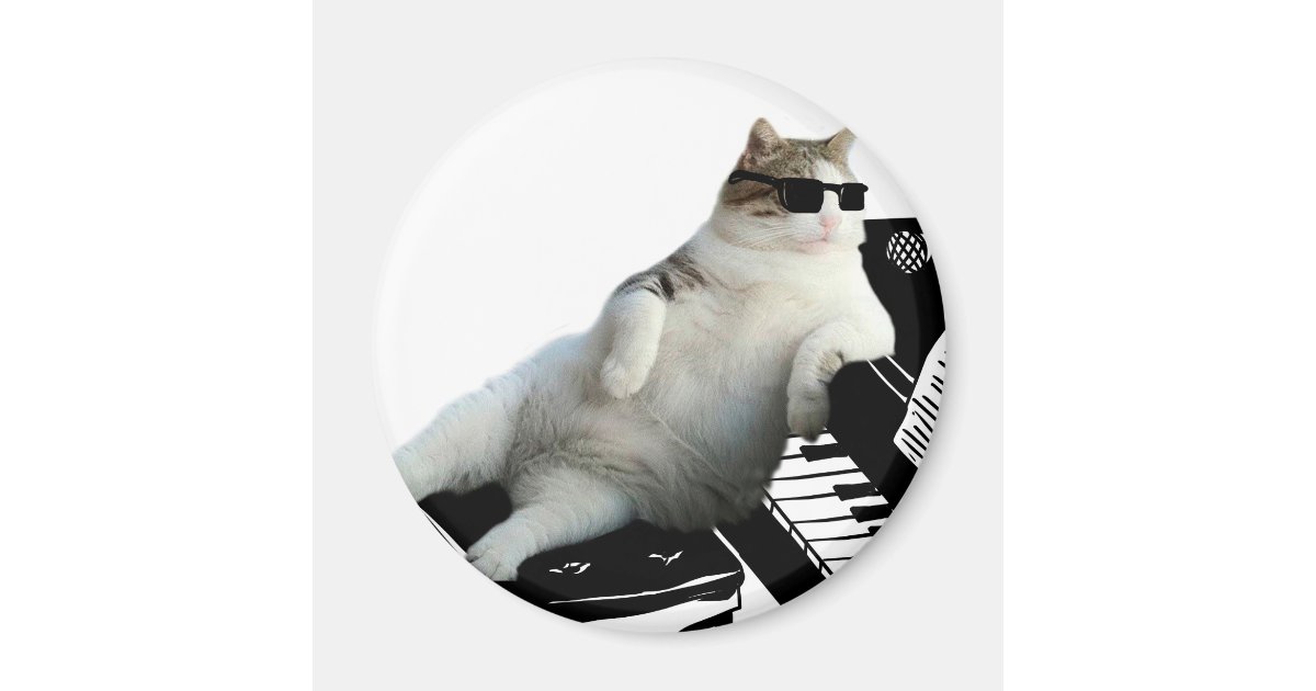 Cat Piano Cat With Sunglasses Cat Drawing Magnet Zazzle Com