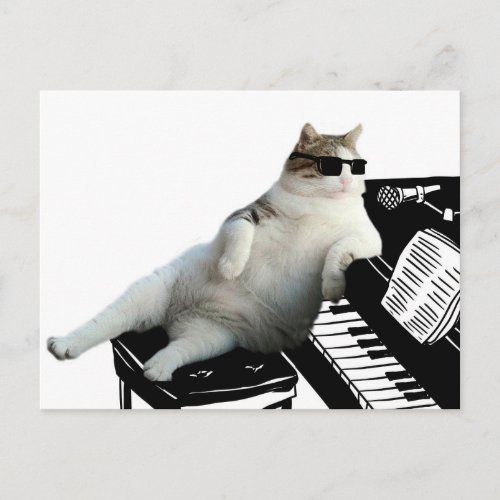 Cat piano _ cat with sunglasses _ cat drawing postcard