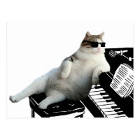 Cat piano - cat with sunglasses - cat drawing postcard