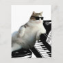 Cat piano - cat with sunglasses - cat drawing postcard