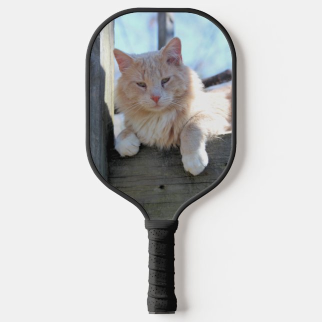 Cat Pickleball Paddle (Front)