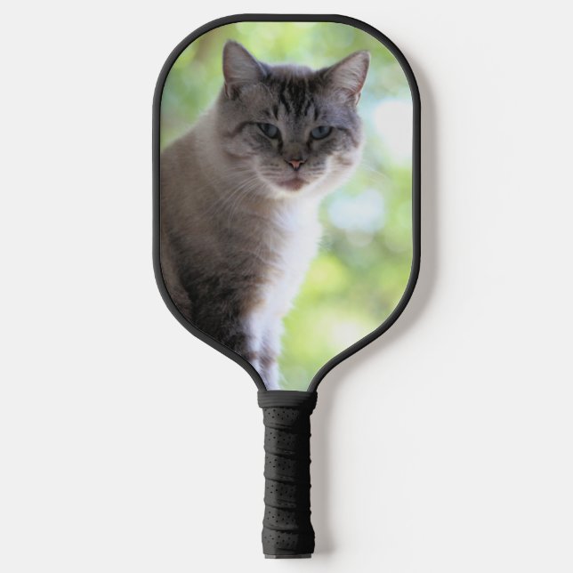 Cat Pickleball Paddle (Front)