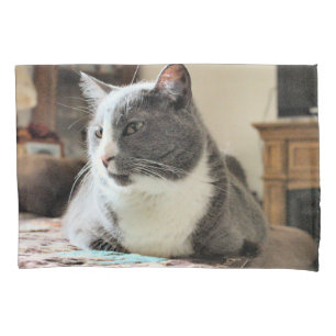 Cat Pillow Case