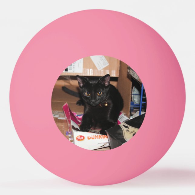 Cat   ping pong ball (Front)