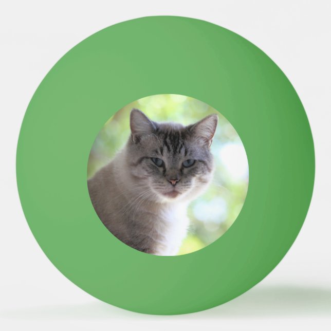 Cat Ping Pong Ball (Front)
