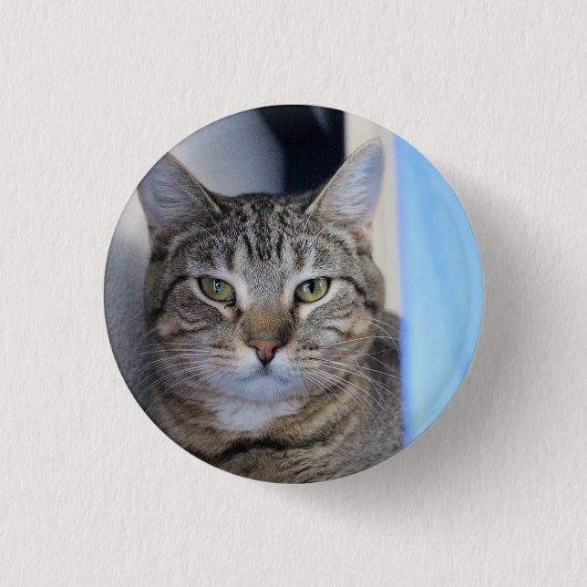 Cat Ping Pong Ball Button (Front)