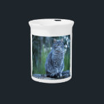 Cat Pitcher<br><div class="desc">Pitcher</div>