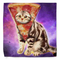 Galaxy Space Pizza Cat DJ Decks Pussy Cat Kitten Cute Funny 