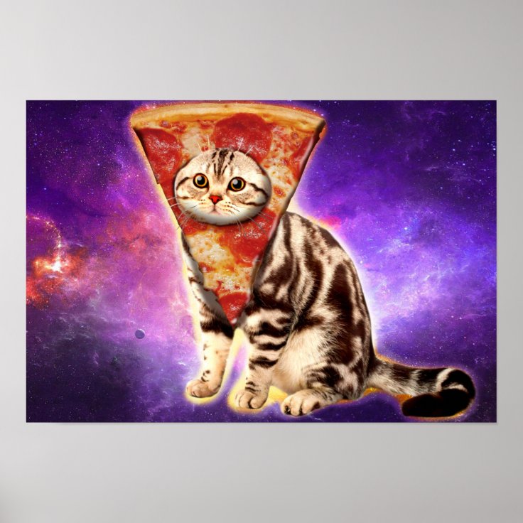 Cat pizza cat space cat memes poster Zazzle