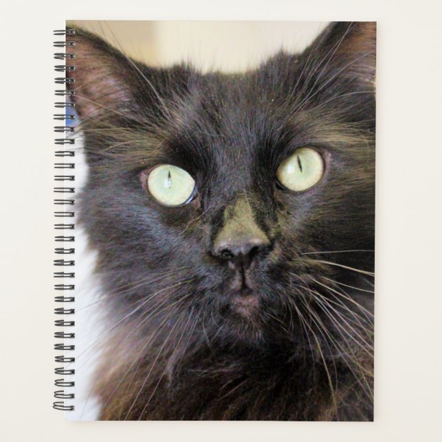 Cat  planner (Front)
