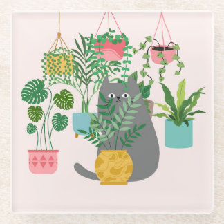 cat plants funny pink cute home "cat lovers" "plan glass coaster