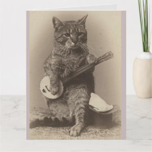 CAT PLAYING BANJO BIRTHDAY GREETING CARD
