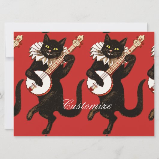 Cat playing Banjo Thunder_Cove (Front)