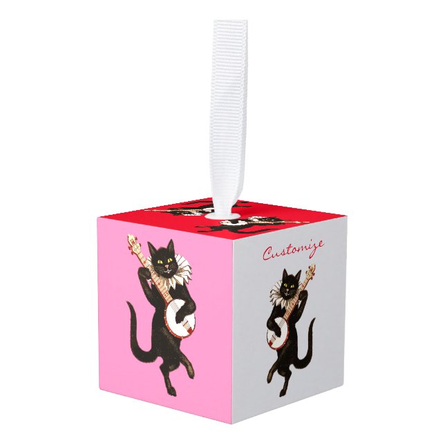 Cat playing Banjo Thunder_Cove Cube Ornament (Front Angled)