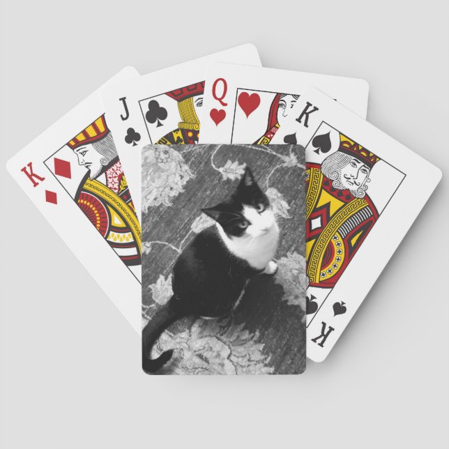 Cat Playing Cards (Back)